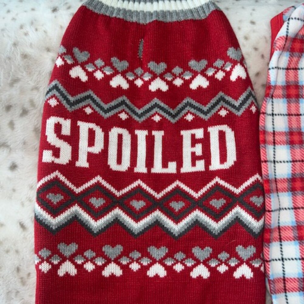 Free shipping. 3 PIECES- Dog Valentine's Seater, Winter Jammies, and B-ball